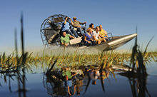 Everglades Airboat Tour and Biscayne Bay Sightseeing Cruise (VIA PROMO)